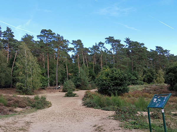 Wandelvakantie Natuurgebieden Rijn